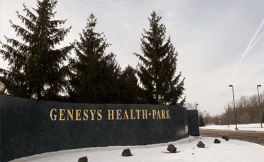 Genesys Health Park