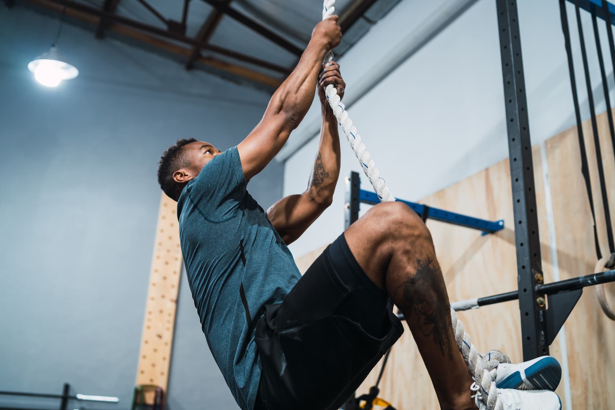 Gym software dashboard illustrates transparent operations across finance, sales, and service.