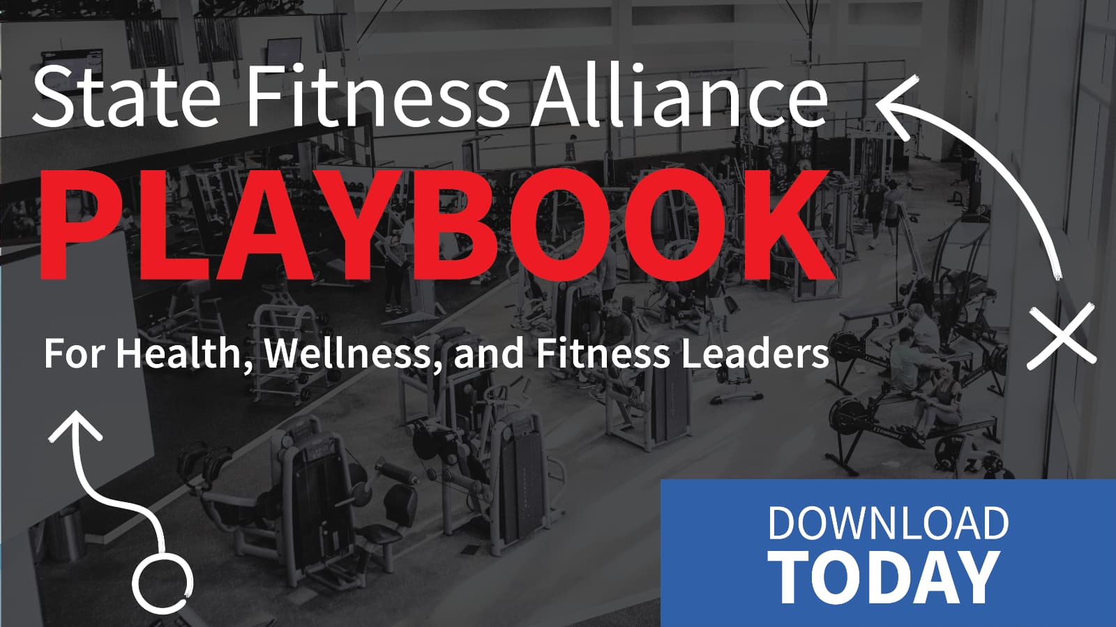 Fitness Alliance Playbook Download